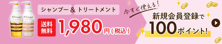 新規会員登録で100ポイントプレゼント