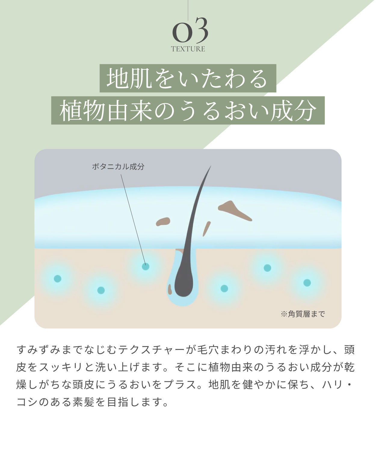 こだわり3.TEXTURE