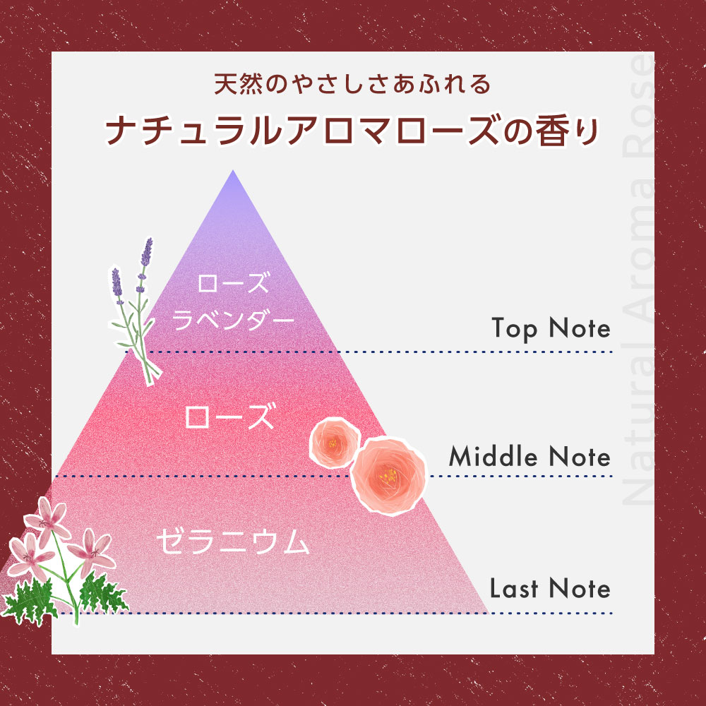 送料無料】ロレッタ｜ハードゼリー bーexオンラインショップ