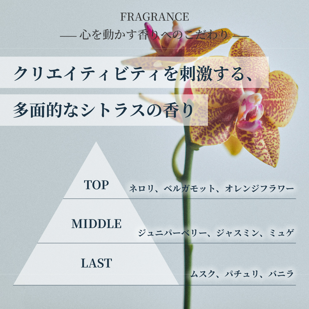 FRAGRANCE