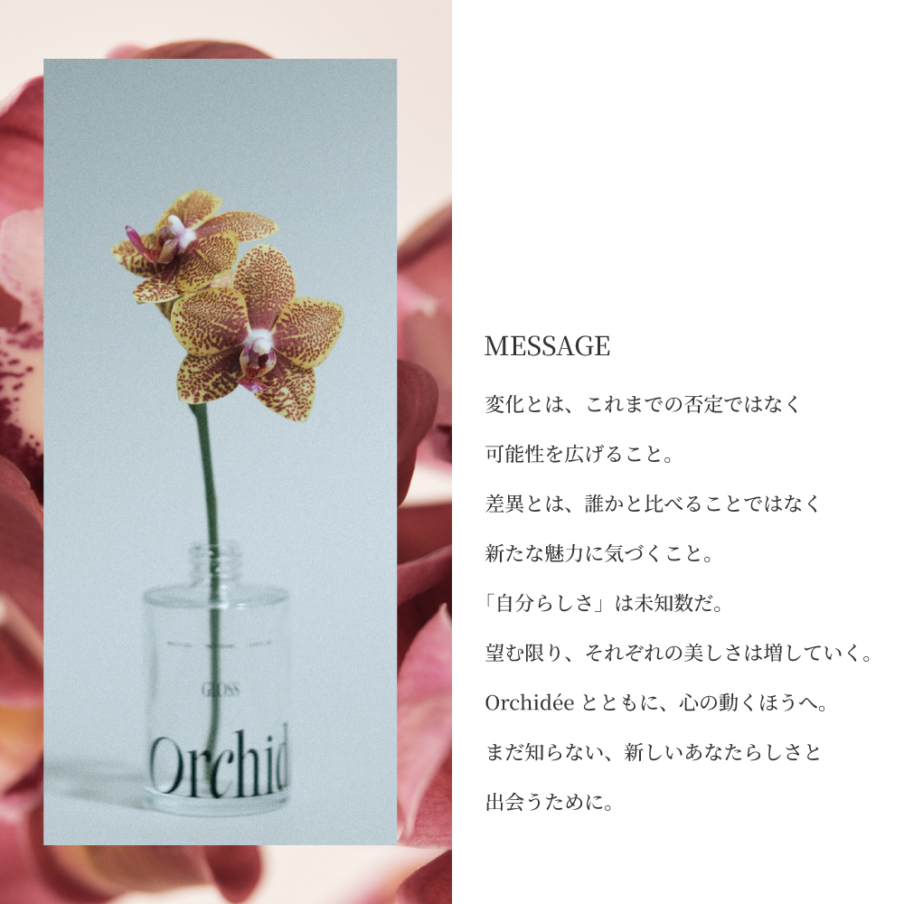 MESSAGE