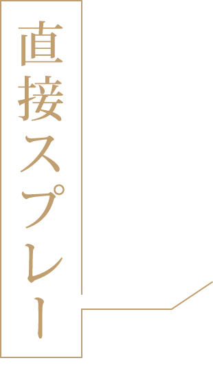 シャンプー前の濡れた髪に直接スプレー