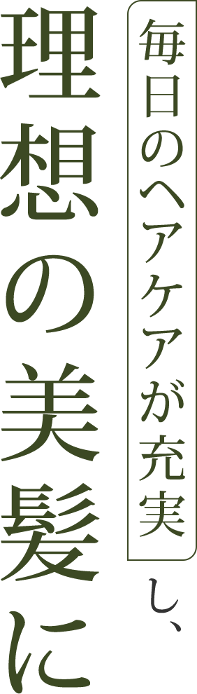 毎日のヘアケアが充実し、理想の美髪に