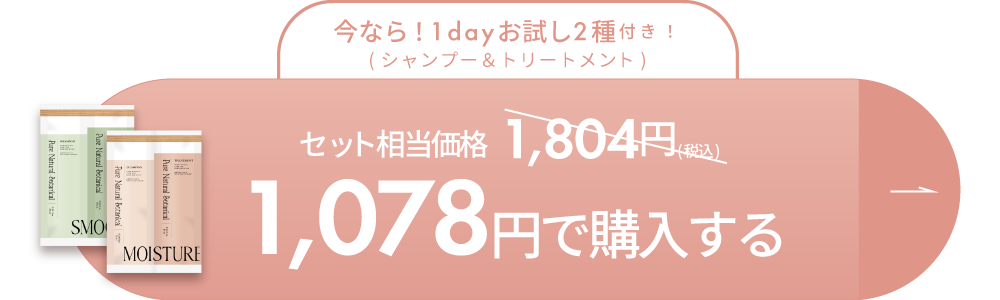 1,078円で購入する