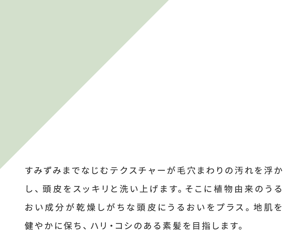 すみずみまでなじむテクスチャーが毛穴まわりの汚れを浮かし、頭皮をスッキリと洗い上げます。