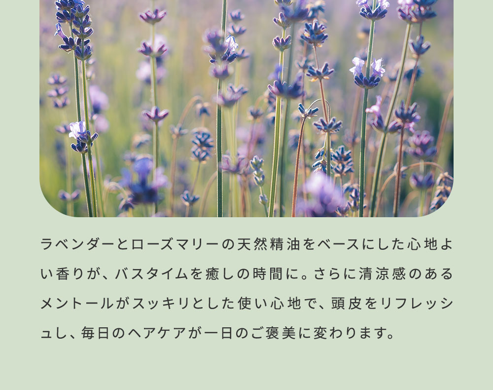 ラベンダーとローズマリーの天然精油をベースにした心地よい香りが、バスタイムを癒しの時間に。
