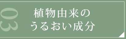 植物由来のうるおい成分