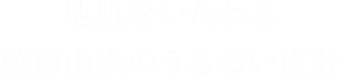地肌をいたわる植物由来のうるおい成分