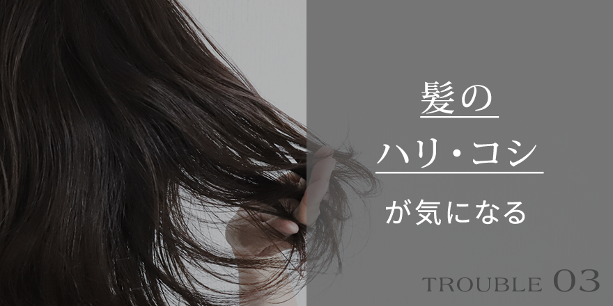 髪のハリ・コシが気になる